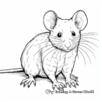 Detailed Rat Coloring Pages for Adults 4