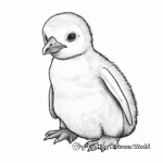 Detailed Realistic Baby Penguin Coloring Pages 4