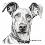 Detailed Realistic Doberman Coloring Pages for Adults 2