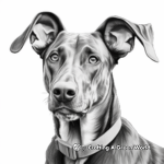 Detailed Realistic Doberman Coloring Pages for Adults 4