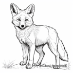Detailed Realistic Fox Coloring Pages 1