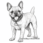 Detailed Realistic French Bulldog Coloring Pages for Adults 2