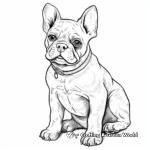 Detailed Realistic French Bulldog Coloring Pages for Adults 3