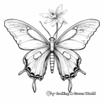 Detailed Realistic Luna Moth Coloring Pages 2