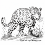 Detailed Realistic Snow Leopard Coloring Pages for Adults 1