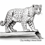 Detailed Realistic Snow Leopard Coloring Pages for Adults 2