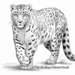 Detailed Realistic Snow Leopard Coloring Pages for Adults 3