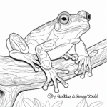 Detailed Red Eyed Tree Frog Adult Coloring Page 1
