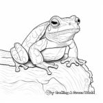 Detailed Red Eyed Tree Frog Adult Coloring Page 2