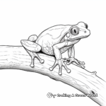 Detailed Red Eyed Tree Frog Adult Coloring Page 3