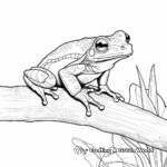 Detailed Red Eyed Tree Frog Adult Coloring Page 4