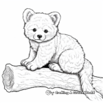 Detailed Red Panda Coloring Pages for Adults 3