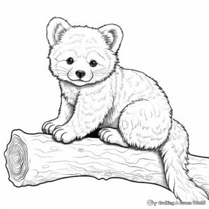 Detailed Red Panda Coloring Pages for Adults 3