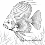 Detailed Regal Angelfish Coloring Pages 4
