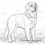 Detailed Saint Bernard Dog Coloring Pages 3