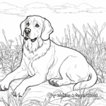 Detailed Saint Bernard Dog Coloring Pages 4