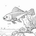 Detailed Salmon Life Cycle Coloring Pages 1