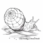 Detailed Sea Snail Coloring Pages 2