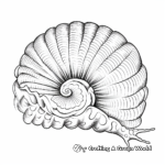 Detailed Sea Snail Coloring Pages 3