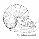 Detailed Sea Snail Coloring Pages 4