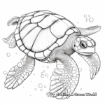 Detailed Sea Turtle Anatomy Coloring Pages 1