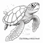 Detailed Sea Turtle Anatomy Coloring Pages 3