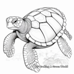 Detailed Sea Turtle Anatomy Coloring Pages 4