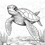 Detailed Sea Turtle Coloring Pages for Adults 2