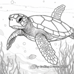 Detailed Sea Turtle Coloring Pages for Adults 3