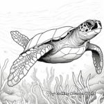 Detailed Sea Turtle Coloring Pages for Adults 4
