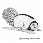 Detailed Skunk Coloring Pages for Adults 4
