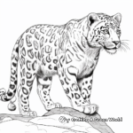 Detailed Snow Leopard Anatomy Coloring Pages 1