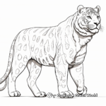 Detailed Snow Leopard Anatomy Coloring Pages 4