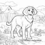 Detailed St Bernard Coloring Pages for Adults 1