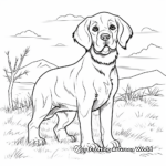 Detailed St Bernard Coloring Pages for Adults 4