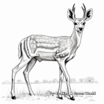 Detailed Thomson's Gazelle Coloring Page for Adults 1