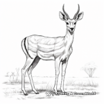 Detailed Thomson's Gazelle Coloring Page for Adults 2