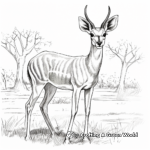 Detailed Thomson's Gazelle Coloring Page for Adults 4