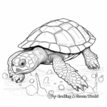 Detailed Tortoise Coloring Pages for Adults 2