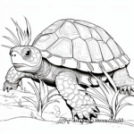 Detailed Tortoise Shell Coloring Pages 3