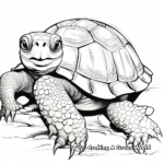 Detailed Tortoise Shell Coloring Pages 4