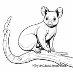 Detailed Tree Kangaroo Coloring Pages for Adults 3