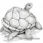 Detailed Turtle Shell Coloring Pages for Adults 2