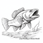 Detailed Walleye Coloring Pages for Adults 1