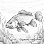 Detailed Walleye Coloring Pages for Adults 3