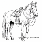 Detailed Western Saddle Horse Coloring Page 1