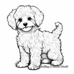 Different Coat Maltipoo Varieties Coloring Pages 1
