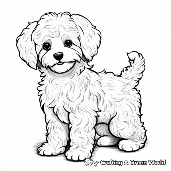 Maltipoo Coloring Pages - Free &amp; Printable!