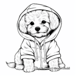 Different Coat Maltipoo Varieties Coloring Pages 2