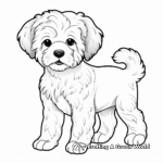 Different Coat Maltipoo Varieties Coloring Pages 4